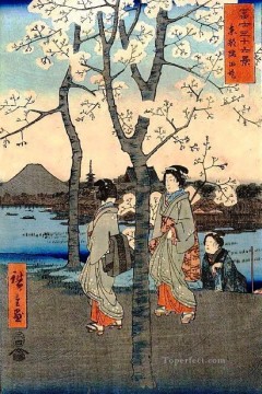 cerezo Utagawa Hiroshige Ukiyoe Pinturas al óleo